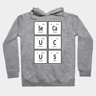 Town of Secaucus | Periodic Table of Elements Hoodie